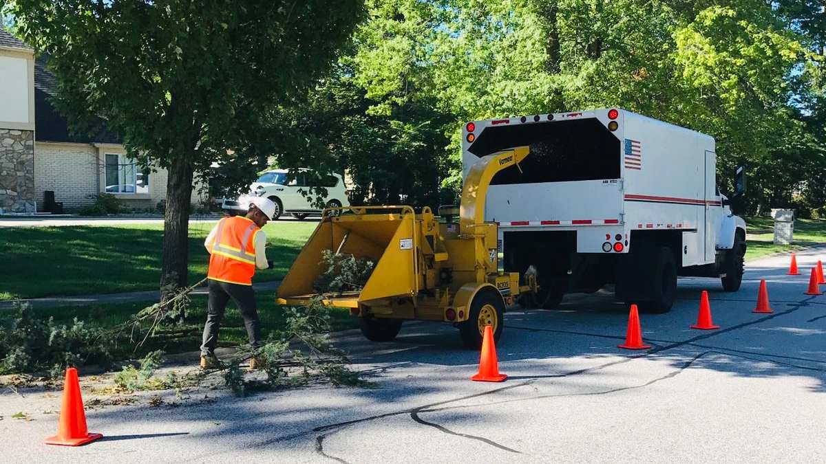 A yellow wood chipper and white chip truck at the curb of a tree-lined residential street, a crew member in an orange vest feeding branches while orange cones mark off the work.