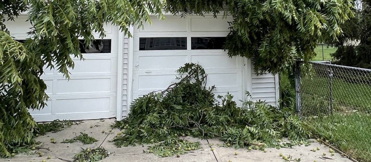 Leafy branches hanging over two white garage doors, with a pile of fallen branches and green walnuts across the driveway.